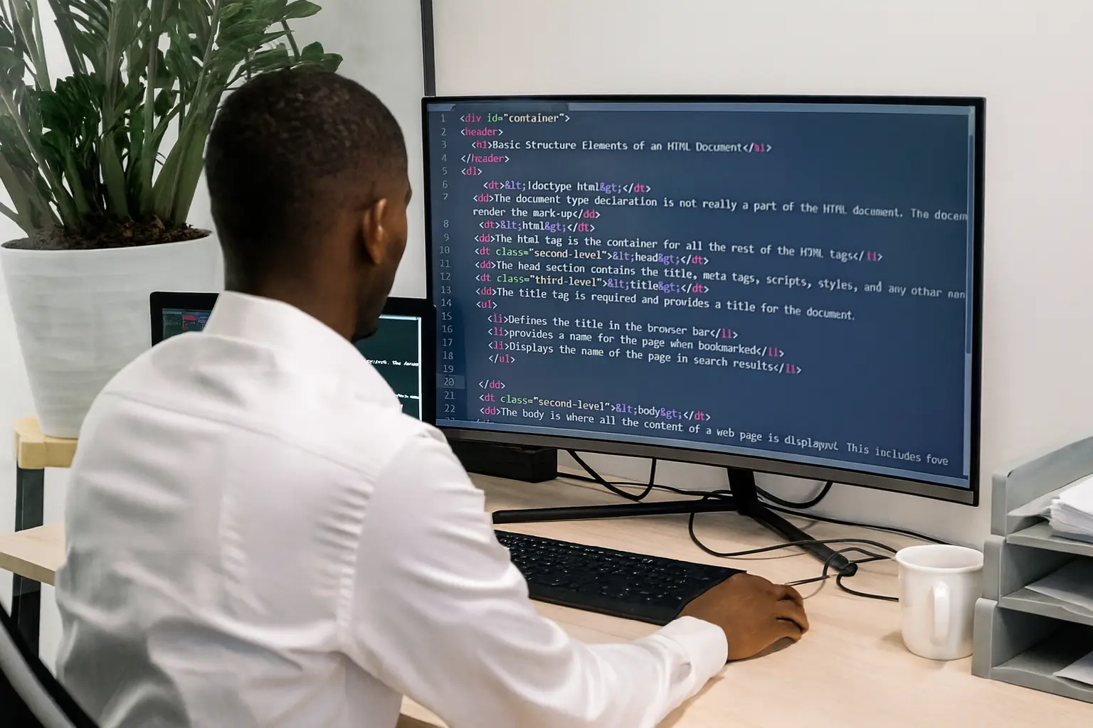 Software Development